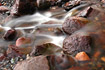 The first in a series of three images taken taken close up from a small stream running on to a Juneau beach.