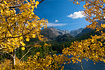 Taken near the same location of the previous photo of the week, with 14,259 ft. Longs Peak framed by a beautiful stand of glowing aspen trees and the blue waters of Bear Lake below.
